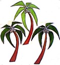 Palms