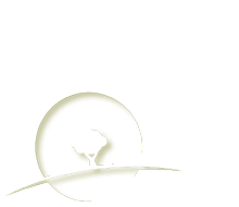 Little_Green_Store_logo.png